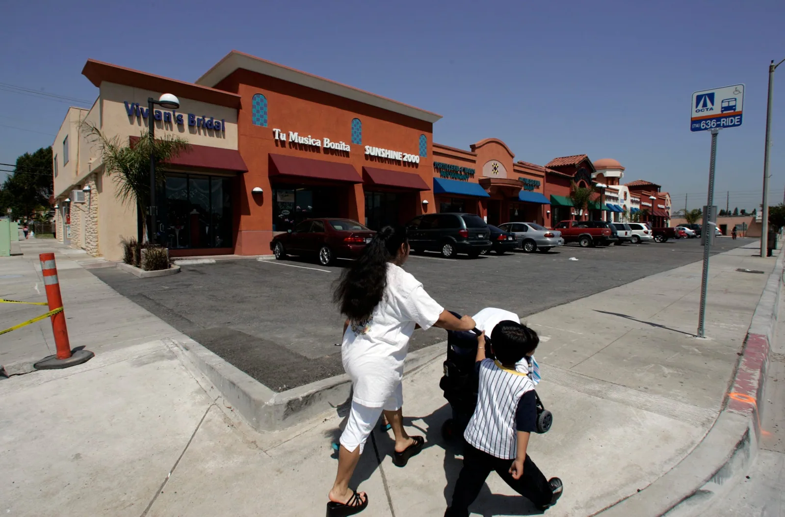 retail modified bitumen construction decision